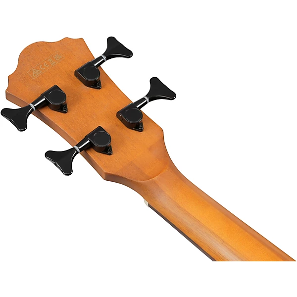 AEGB25E Grand Concert Acoustic Electric Bass Guitar Transparent Black Sunburst