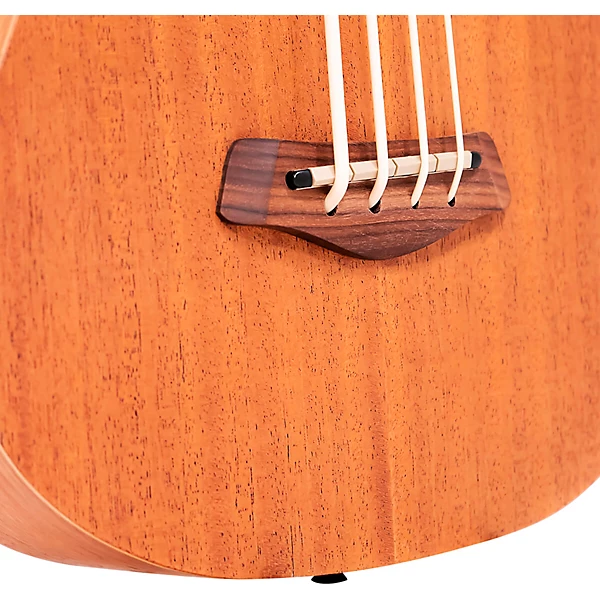 23 Scale Fretless Acoustic Electric MicroBass Natural