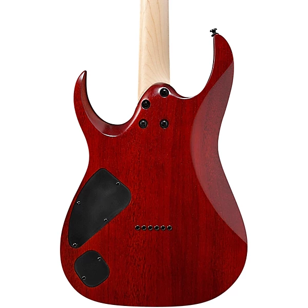 Ibanez RGA series RGA42FM Electric Guitar Level 2 Transparent Gray Flat