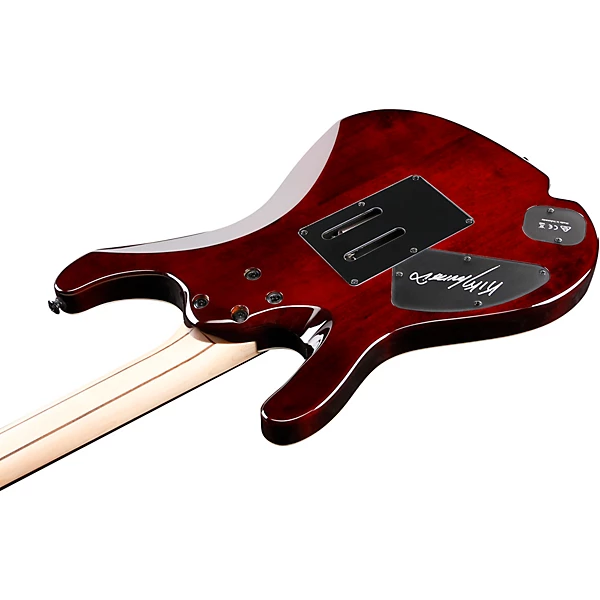 Kiko Loureiro Signature KIKO10BP Electric Guitar Transparent Gray Burst