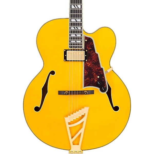 Excel EXL 1 Hollowbody Electric Guitar w Seymour Duncan 59 Humbucker Amber