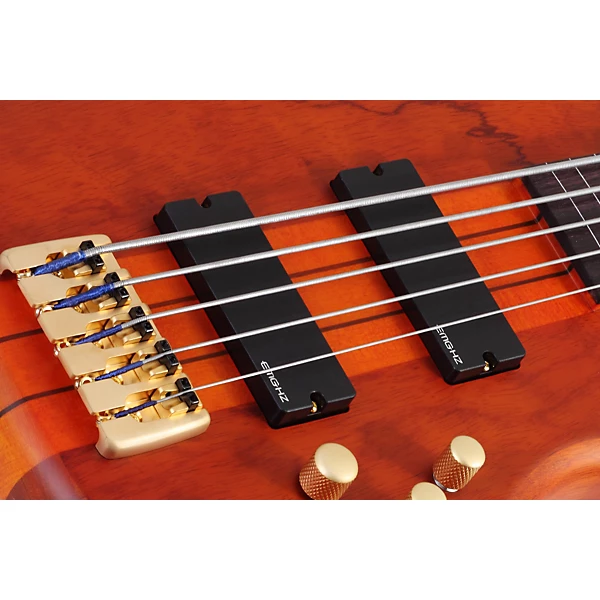 Schecter Guitar Research Stiletto Studio 5 Fretless Bass Satin Honey