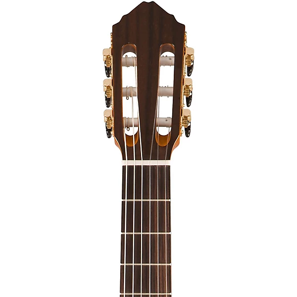 Lucero LFB250Sce Spruce Cypress Thinline Acoustic Electric Classical Guitar Level 2 Natural