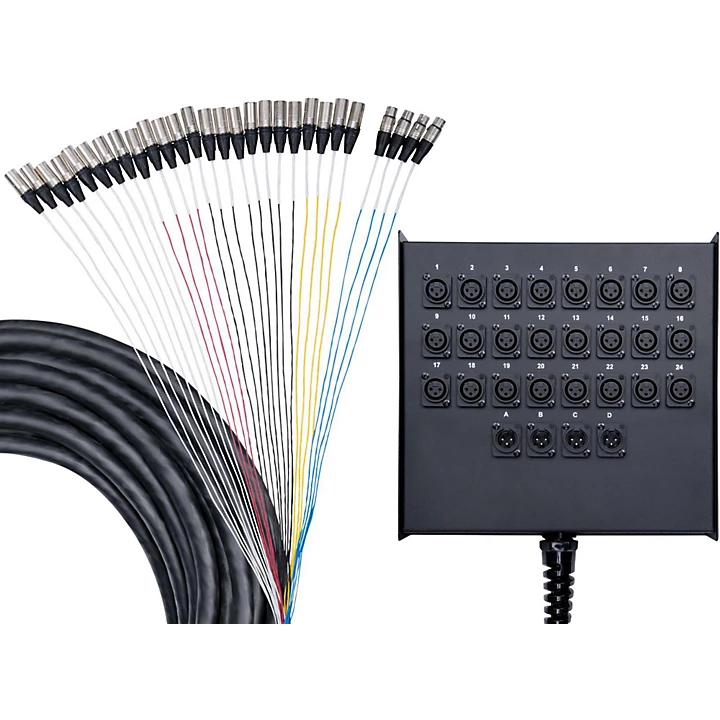 Advantage 24x4 Snake with XLR Returns 100 Ft 100 ft Black