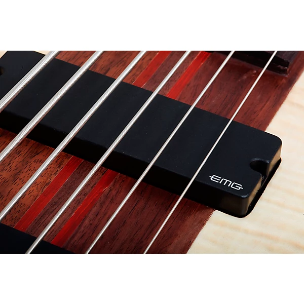 Schecter Guitar Research Charles Berthoud CB 6 6 String Electric Bass Guitar Natural Satin