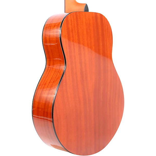 Tenor Guitar