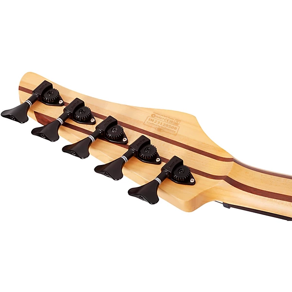 Schecter Guitar Research Reaper 5 5 String Electric Bass Guitar Satin Charcoal Burst