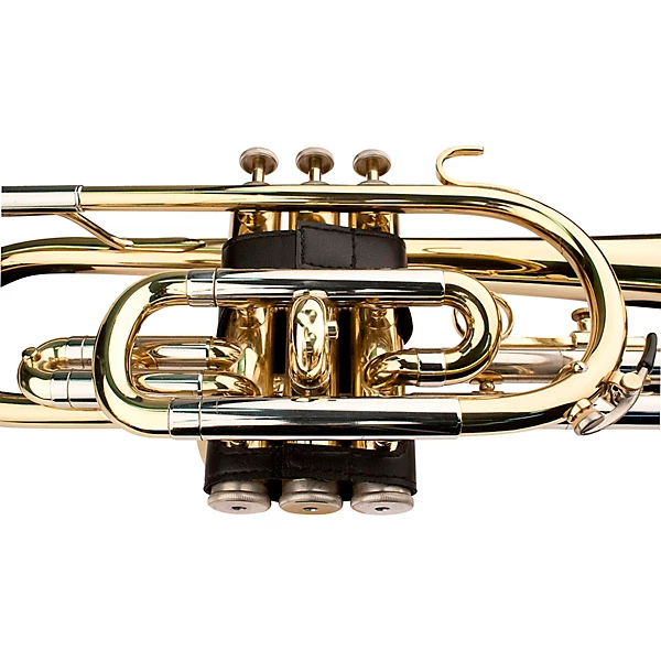 Cornet Leather Valve Guard