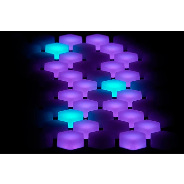 Prophet 10 Desktop and Exquis MPE Bundle