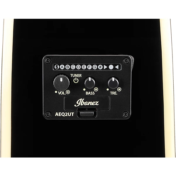 ALT30 Altstar Dreadnought Acoustic Electric Guitar Silver Burst