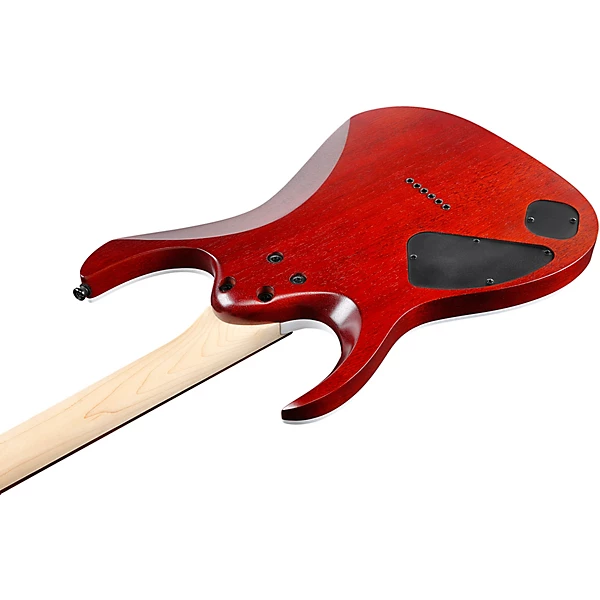 Ibanez RGA series RGA42FM Electric Guitar Level 2 Transparent Gray Flat