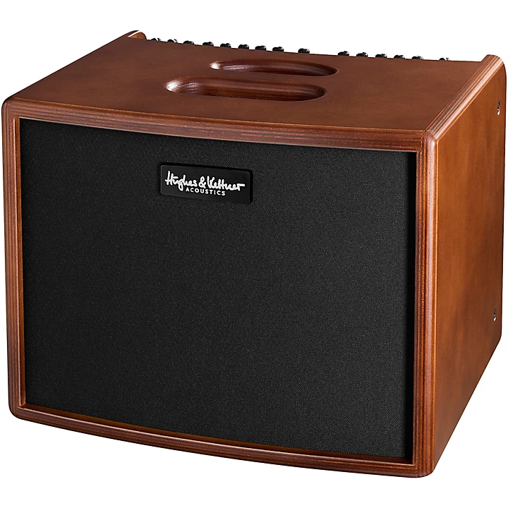 Era 1 250W 1x8 Acoustic Combo Amp Wood