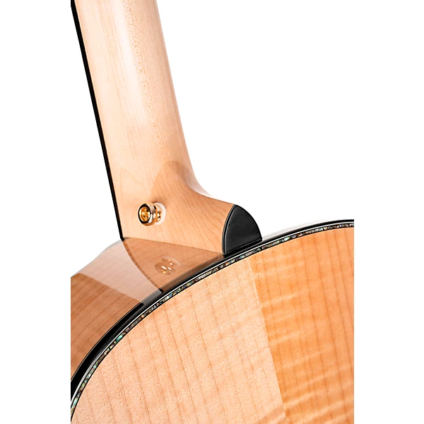 Gold Passion Concert Acoustic Electric Guitar Natural