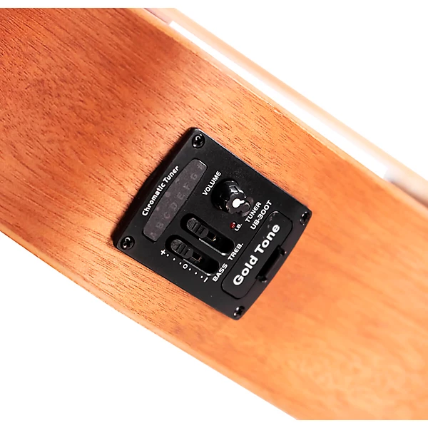 23 Scale Fretless Acoustic Electric MicroBass Natural