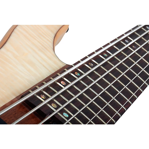 Schecter Guitar Research Charles Berthoud CB 6 6 String Electric Bass Guitar Natural Satin