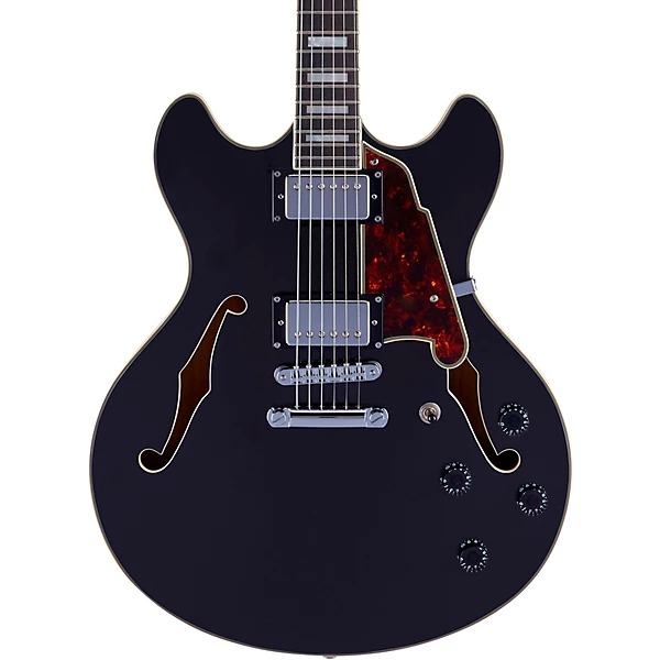 DAngelico Premier DC Semi Hollow Electric Guitar with Stopbar Tailpiece Level 1 Black Flake L00603004004000.gc