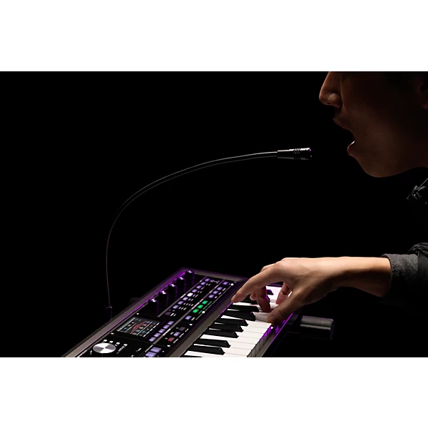 microKORG 2 Keyboard Synthesizer Vocoder