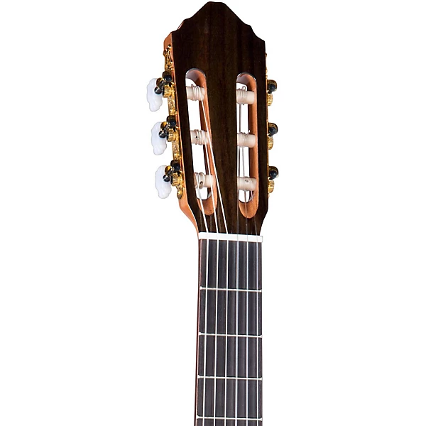 Lucero LC235SCE Acoustic Electric Exotic Wood Classical Guitar Level 2 Natural