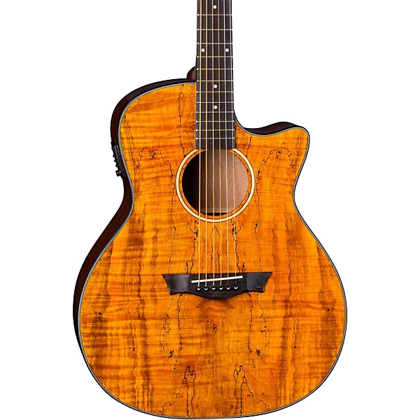 Axs Exotic Gloss Spalt Maple Cutaway Acoustic Electric Guitar Natural