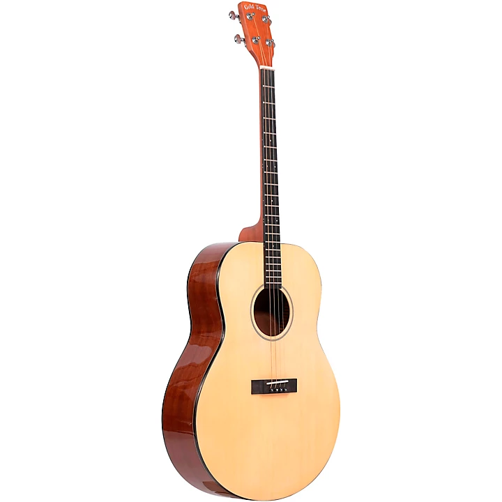 Gold Tone TG 10 Tenor Acoustic Guitar Level 2 Natural