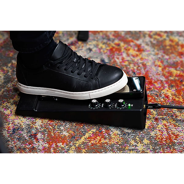 Effects Pedal with Five Pre Programmed Sounds