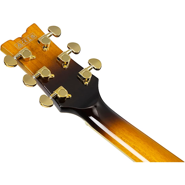 Ibanez John Scofield Signature Electric Guitar Two tone Burst