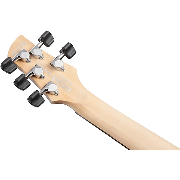 GWB25TH Gary Willis Signature 5 String Electric Bass Silver Wave Burst Flat