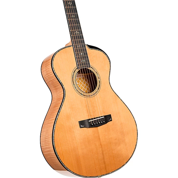 Gold Passion Concert Acoustic Electric Guitar Natural