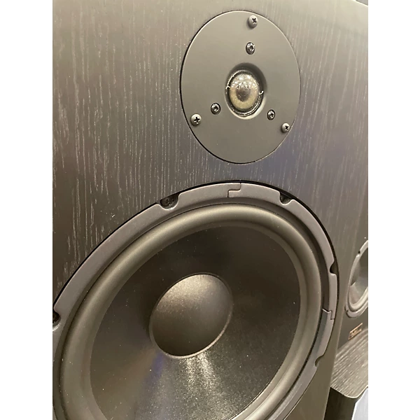 Tyler Acoustic Used Tyler Acoustic HALOR 3 MONITOR PAIR Unpowered Monitor.gc