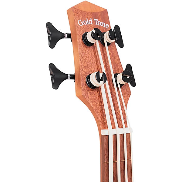 23 Scale Fretless Acoustic Electric MicroBass Natural