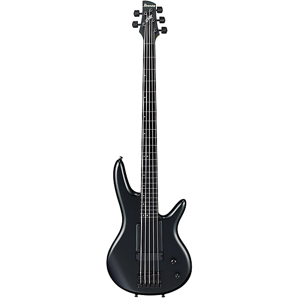 Ibanez GWB35 Gary Willis Signature Fretless 5 String Bass Flat Black