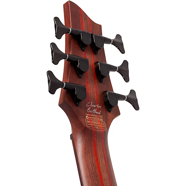 Schecter Guitar Research Charles Berthoud CB 6 6 String Electric Bass Guitar Natural Satin