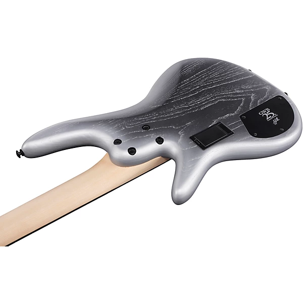 GWB25TH Gary Willis Signature 5 String Electric Bass Silver Wave Burst Flat