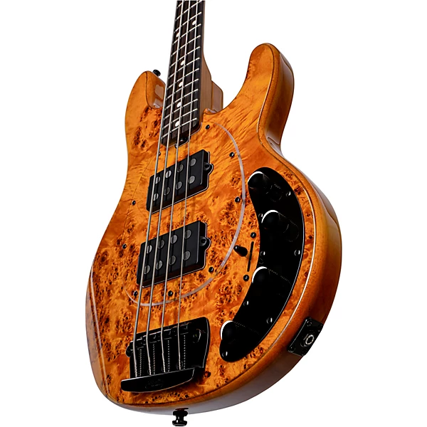 StingRay RAY34 HH Poplar Burl Top Bass Amber