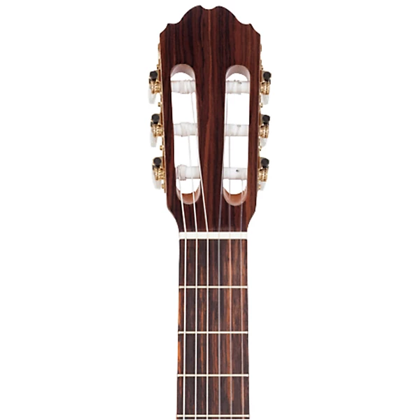 F65C Nylon String Guitar Natural