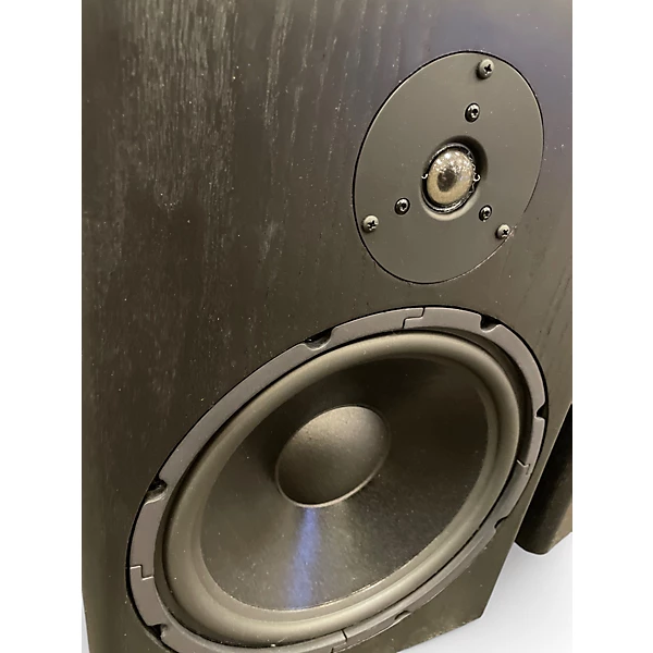 Tyler Acoustic Used Tyler Acoustic HALOR 3 MONITOR PAIR Unpowered Monitor.gc