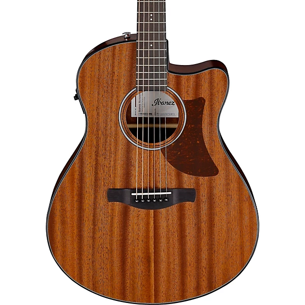 AAM54CE Advanced Auditorium Acoustic Electric Guitar Natural