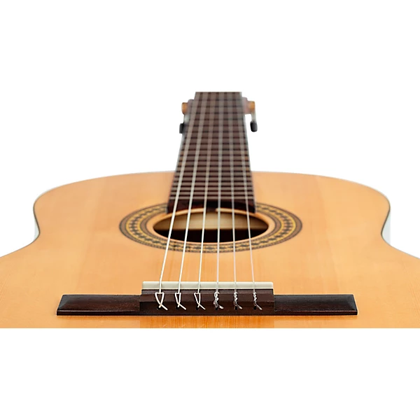 RPPC44 Full Size Nylon String Classical Acoustic Guitar Pack Natural