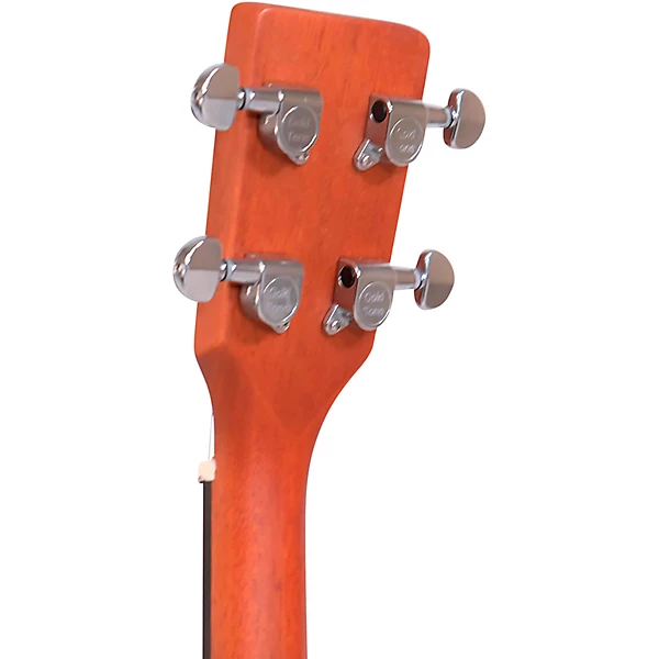 TG 10 Tenor Acoustic Guitar Natural