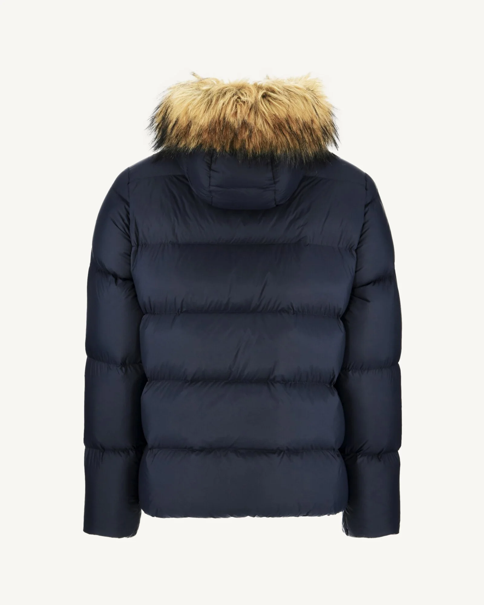 Down jacket short hooded Marine Prestige 2.0