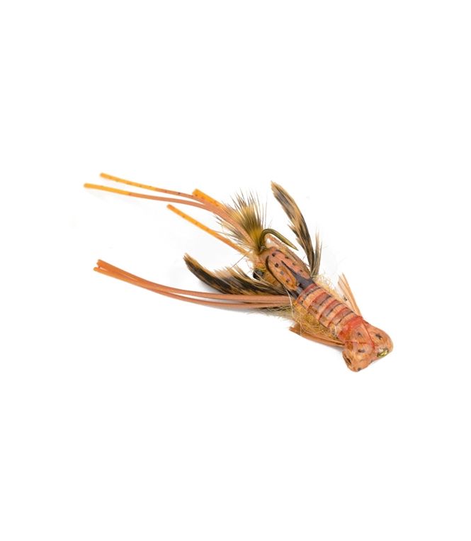 Hada's Creek Crawler