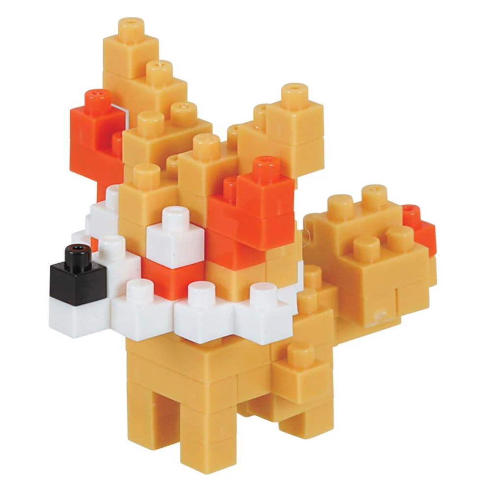 Nanoblock Pokemon Fire Pokemon Box