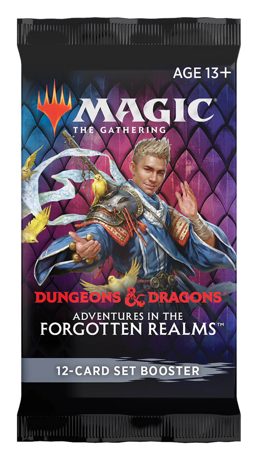ADVENTURES IN THE FORGOTTEN REALMS SET BOOSTER PACK