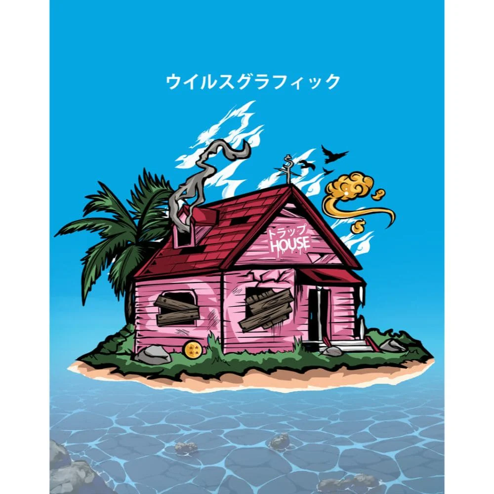 Acrylic Art Dragon Ball Trap House