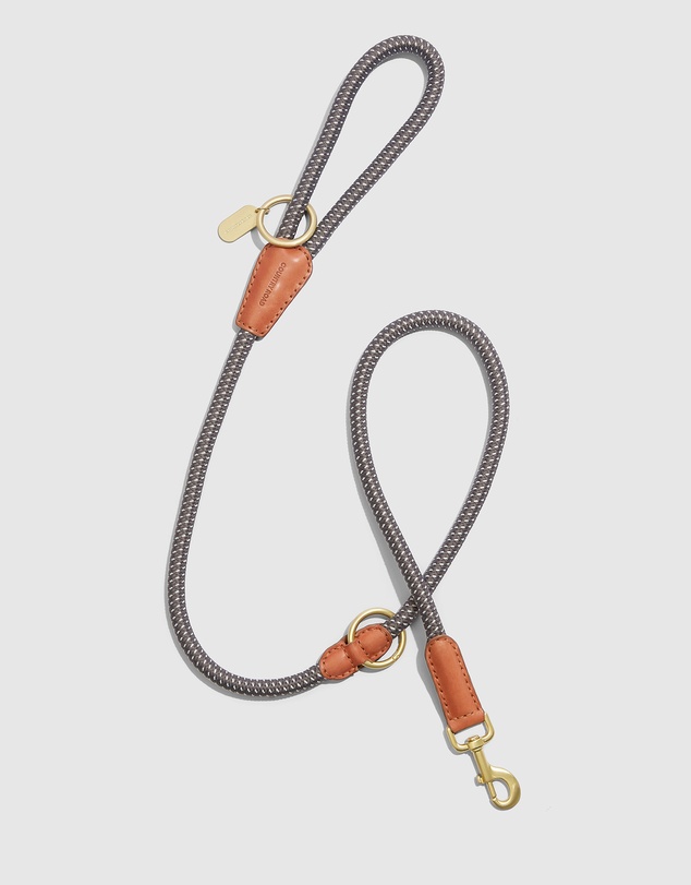 Country Road Alfie Pet Lead