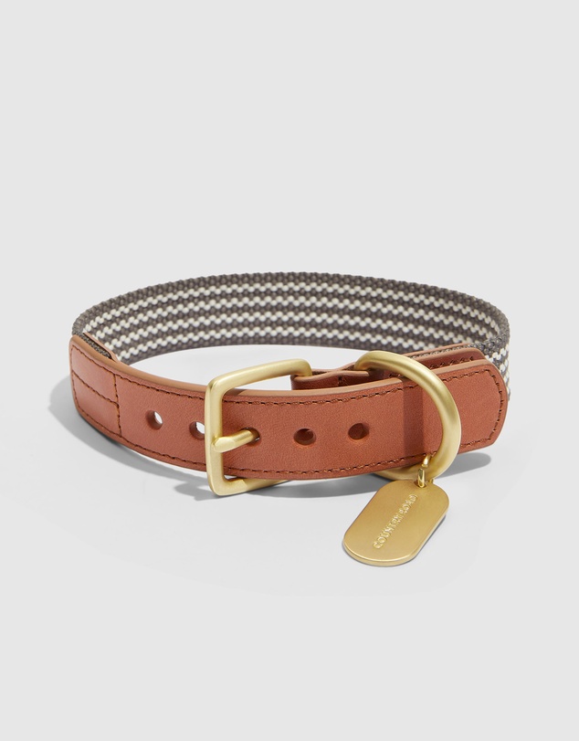 Country Road Alfie Pet Collar