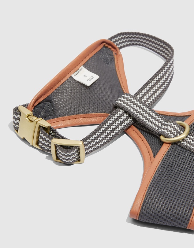 Country Road Alfie Pet Harness