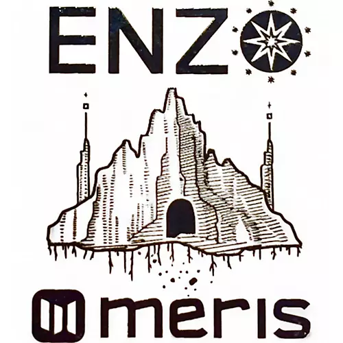 Used Meris ENZ Effect Pedal