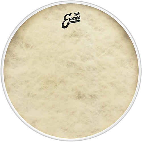 EVANS EQ4 Calftone Bass Drum Head 20 in.