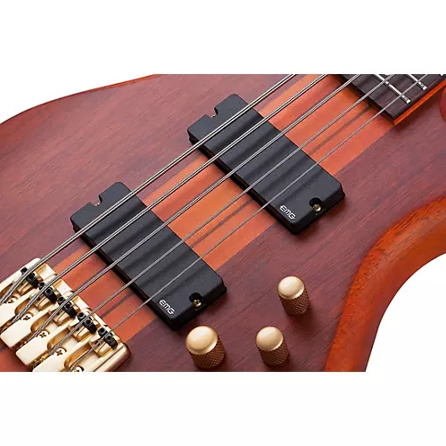 Schecter Guitar Research Stiletto Studio-5 Bass Satin Honey